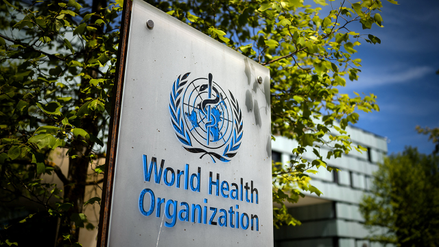 WHO SOUNDS GLOBAL PANIC: Deadly Chikungunya Virus Set to Explode Into Worldwide Outbreak.