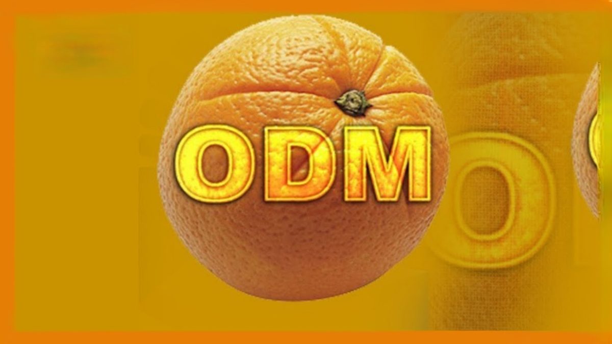 Panic in ODM: Internal War Threatens to Shatter Ruto Alliance Ahead of 2027.