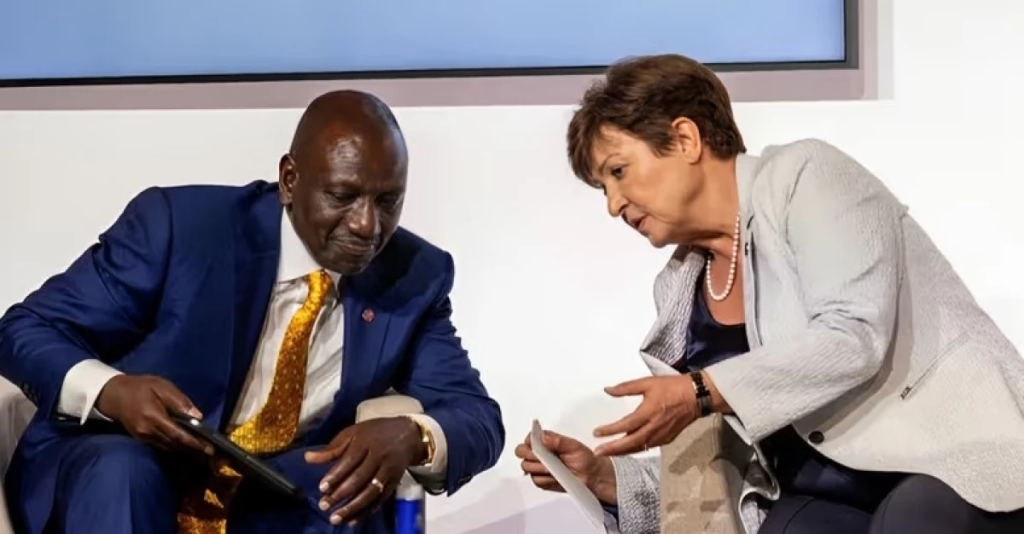 The International Monetary Fund (IMF)